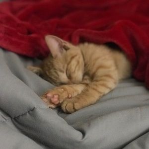 Meet your Posher, Brilynn